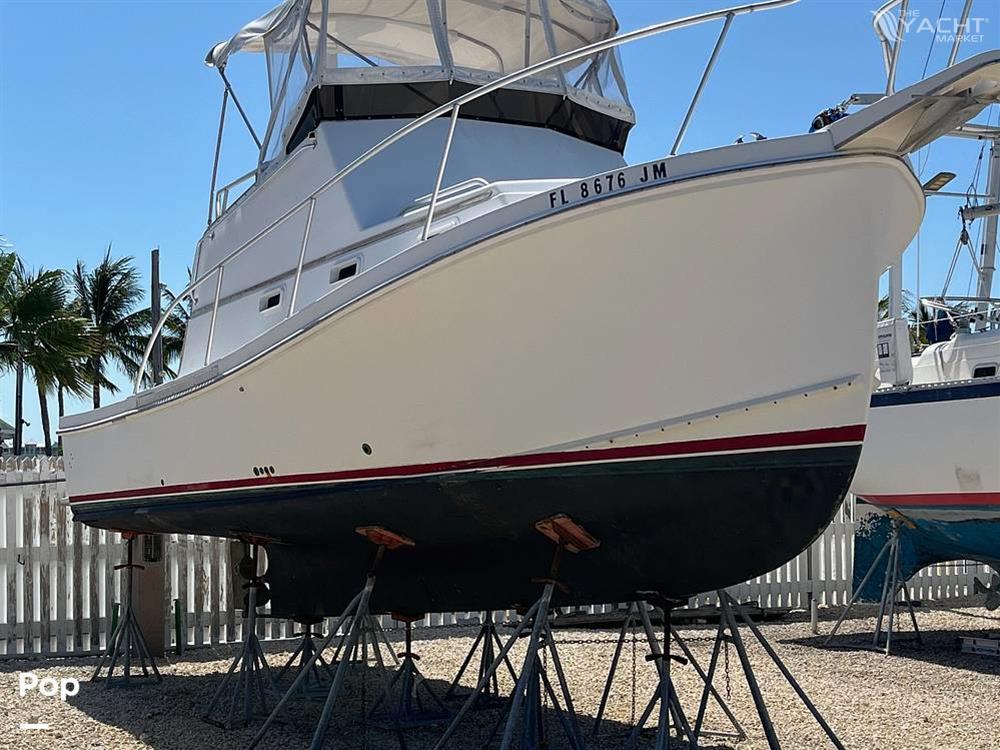 Nauset Express Bridge - 1996 Nauset Express Bridge - Photo #1