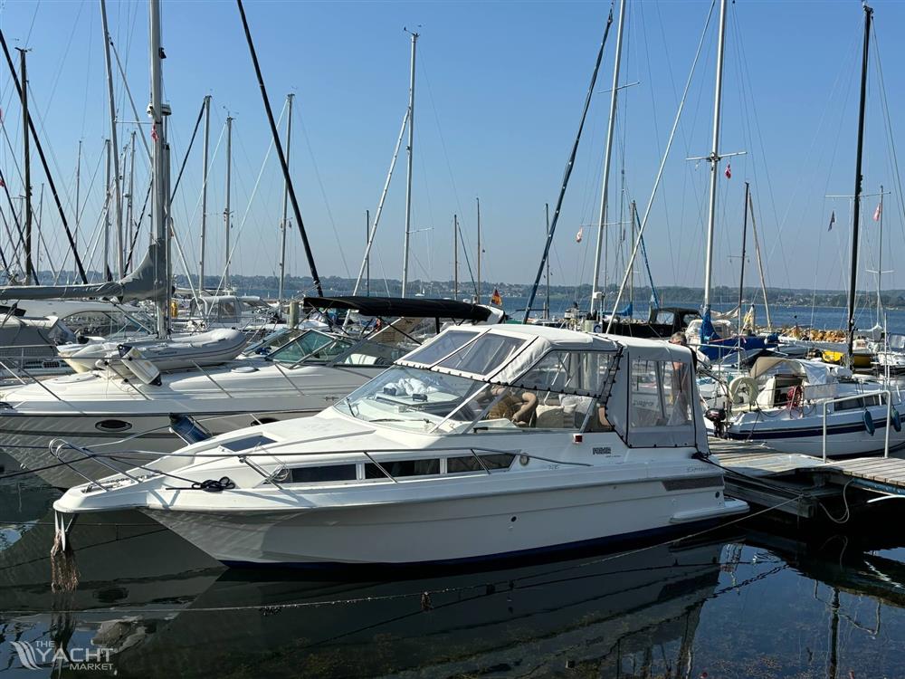 Polar 820 Express - Messenger_creation_2155F44B-DB47-4D05-88B7-0FF64FAD6888.jpeg