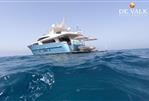 Van der Valk Raised Pilothouse - Picture 3