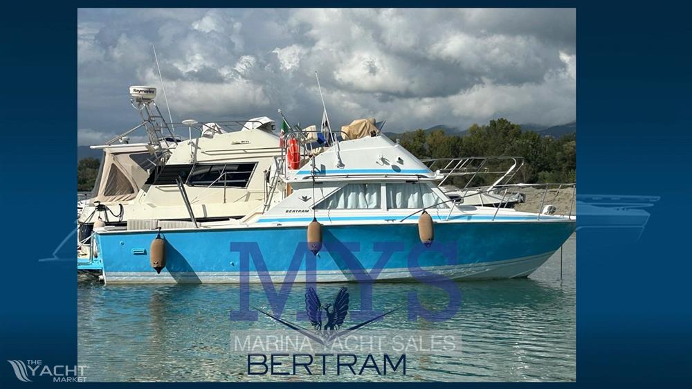 Bertram Yacht 28 Fly - Bertram 28 Fly (1)