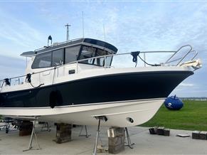 Nord Star 28+