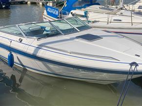 Sea Ray 200 OV