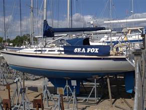 Westerly Typhoon 37