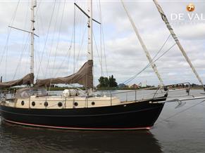 Danish Rose 42