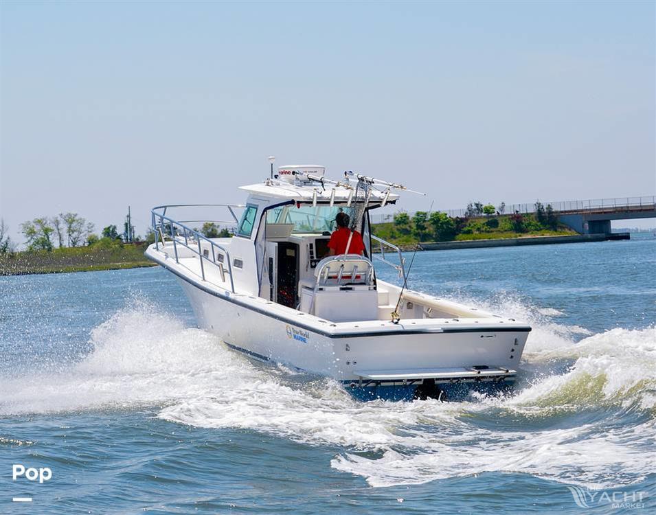 True World Good-Go TE288 - 2008 True World Good-Go TE288 - Photo #1