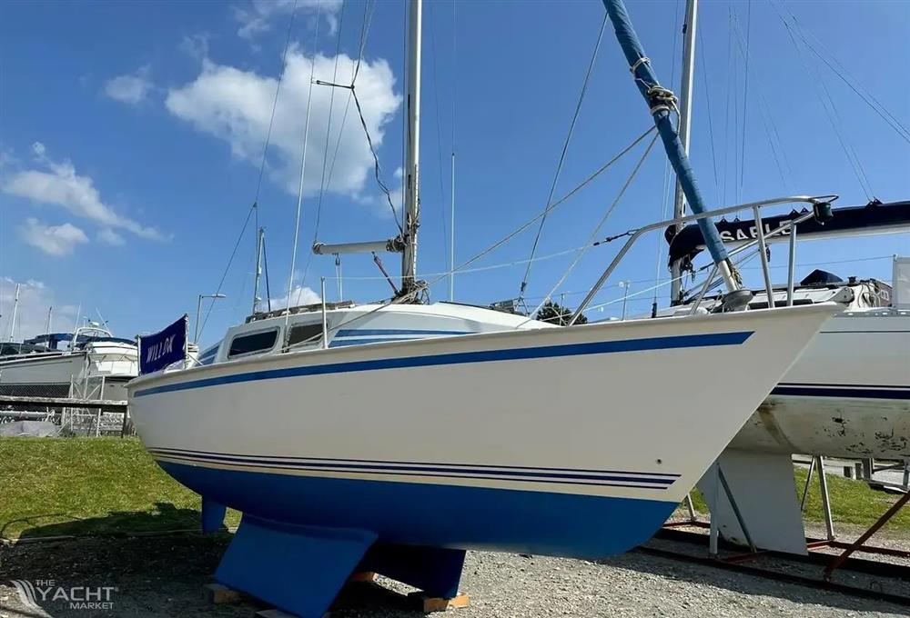 Jaguar 24