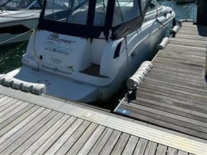 Sea Ray Sundancer 260