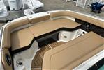 Sea Ray SDX 250