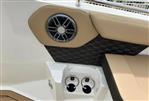 Sea Ray SDX 250