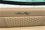 Sea Ray SDX 250