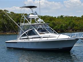Blackfin Combi 33