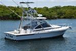 Blackfin Combi 33 - Starboard side