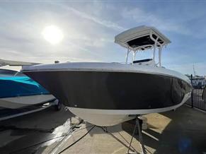 Wellcraft Fisherman 242