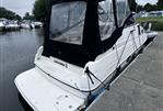 Regal 242 Commodore