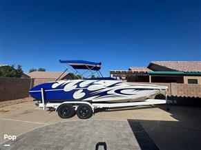 Cheetah 25