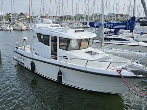Sargo 28