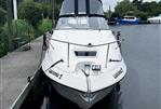 Regal 242 Commodore
