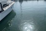 15 MT. Berth in Puerto de Sotogrande, Cádiz, Spain