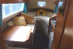 Viking 20