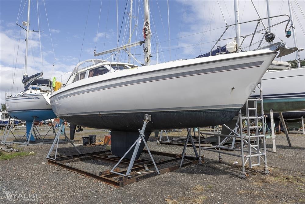 Moody Eclipse 33
