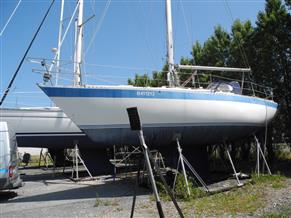 WAUQUIEZ GLADIATEUR 33