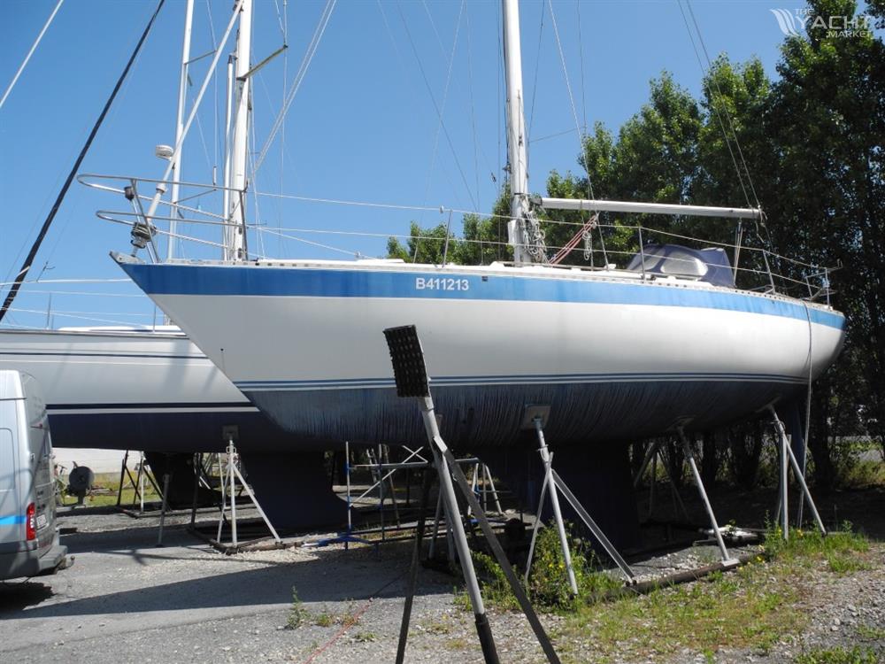 WAUQUIEZ GLADIATEUR 33