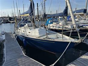 Rustler 31
