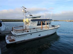 Botnia Targa 31