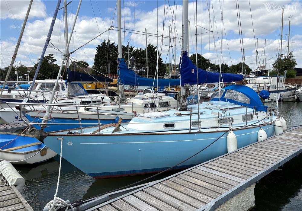 Seeker 31