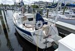 Hake / Seaward