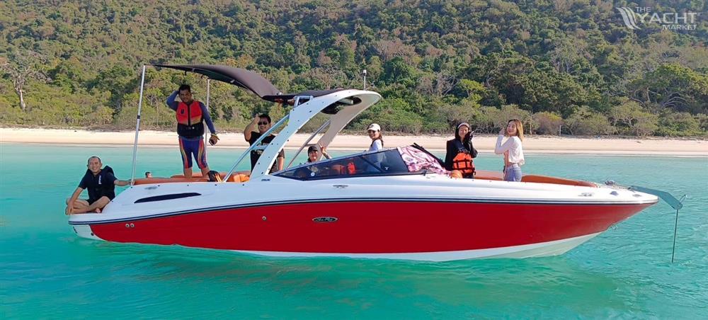 Searay Boats USA Searay 260 SLX - On the water