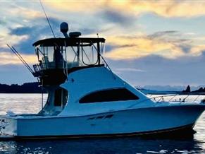 Luhrs 360 Convertible