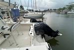 Sailfish 242 CC - 2023 Sailfish 242 CC - Photo #6