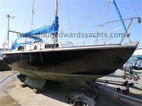 Macwester 26