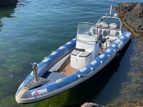 Ribeye RCL 890