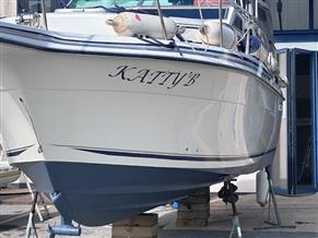 Cruiser International 267 Vee-Express
