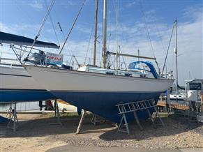 Twister 28