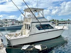 Hatteras Convertible 42
