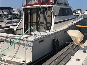 Viking 35 Convertible