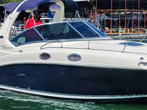 Sea Ray 260 Sundancer