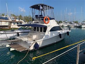Luhrs 32