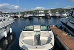 Sea Ray SPX 190