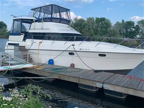 Silverton 41 Aft Cabin