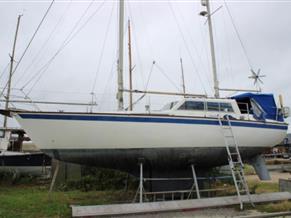 Colvic Colvic Victor 34