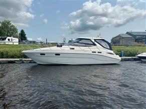 Sealine S41