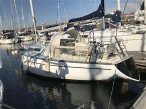 She 36