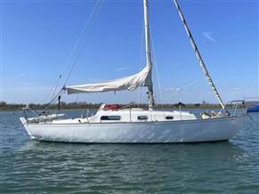 Contessa 26