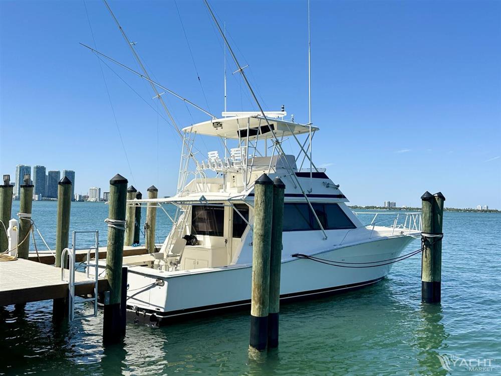 Viking 43 Convertible