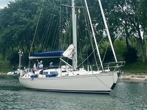 Rustler 44 DS