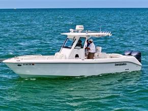 Everglades  295 CC